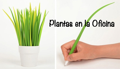 Plantas En La Oficina Chile