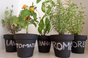 Un mini huerto en el hogar. | Chile