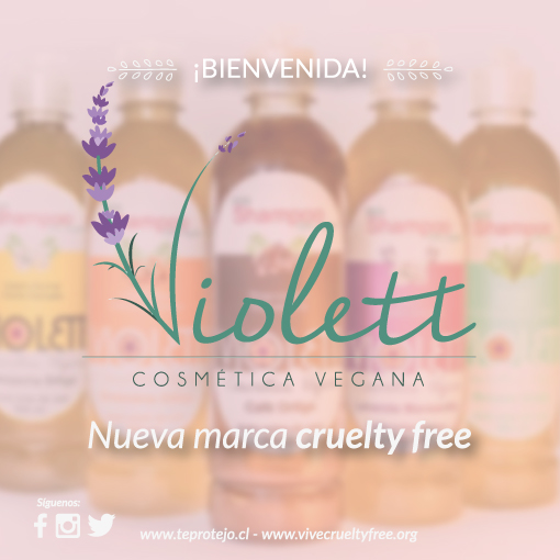 Nueva-Marca-Violet (1)