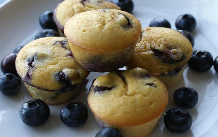 blueberry-buffins