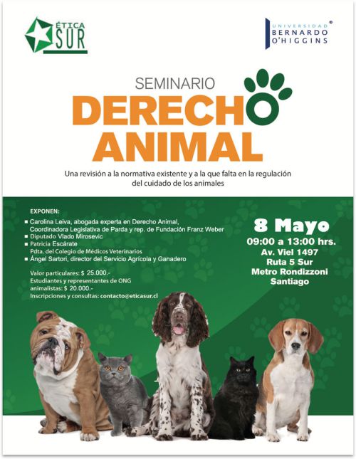 afiche seminario derecho animal
