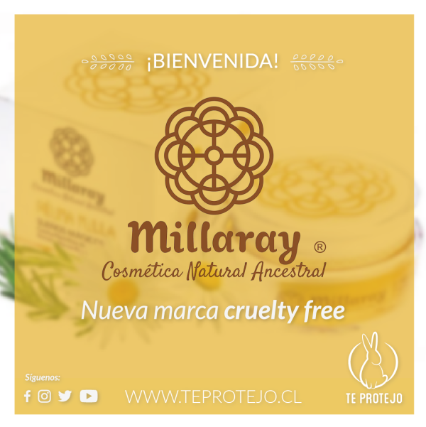 NuevaMarca-Millaray-01